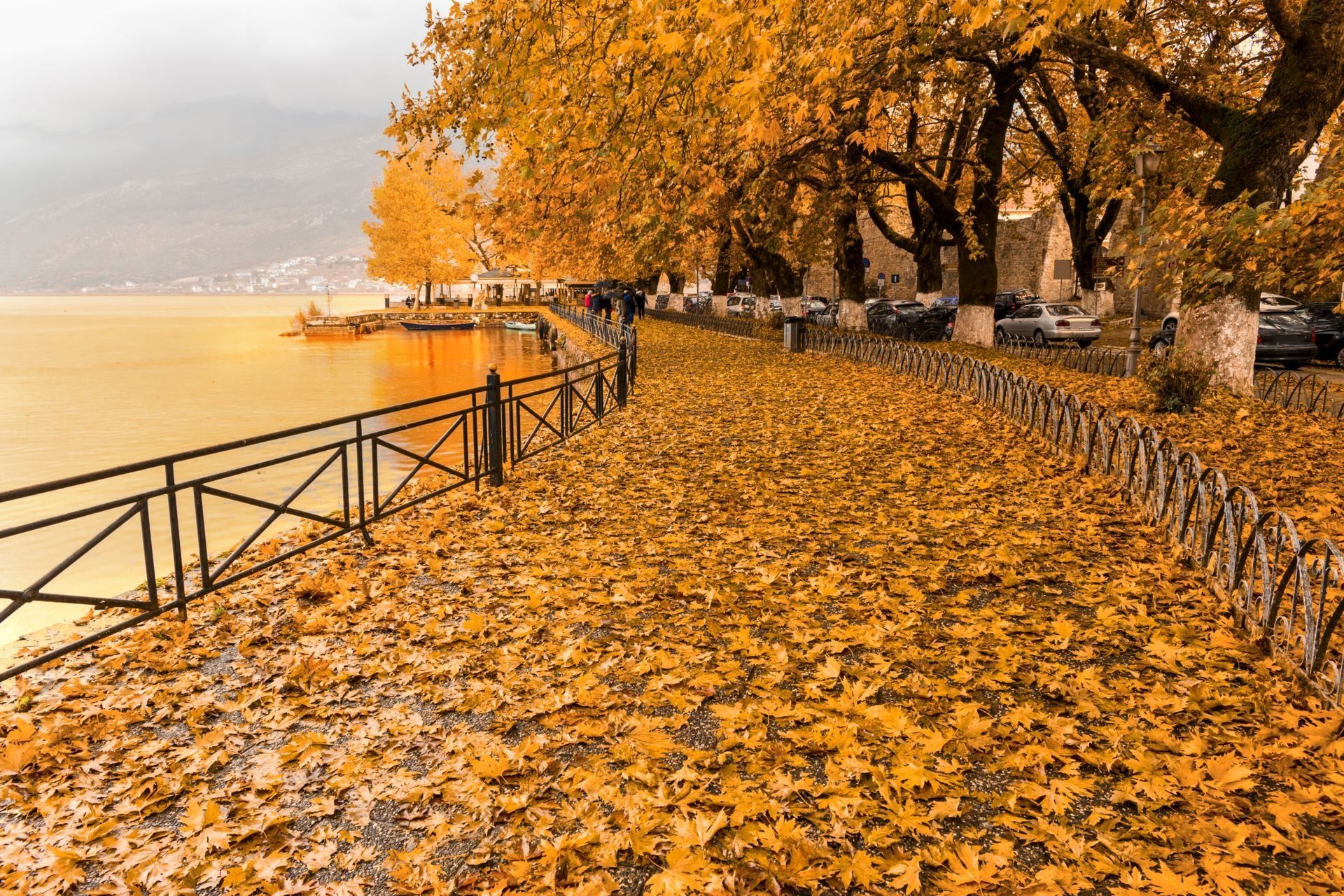 shutterstock_510652756