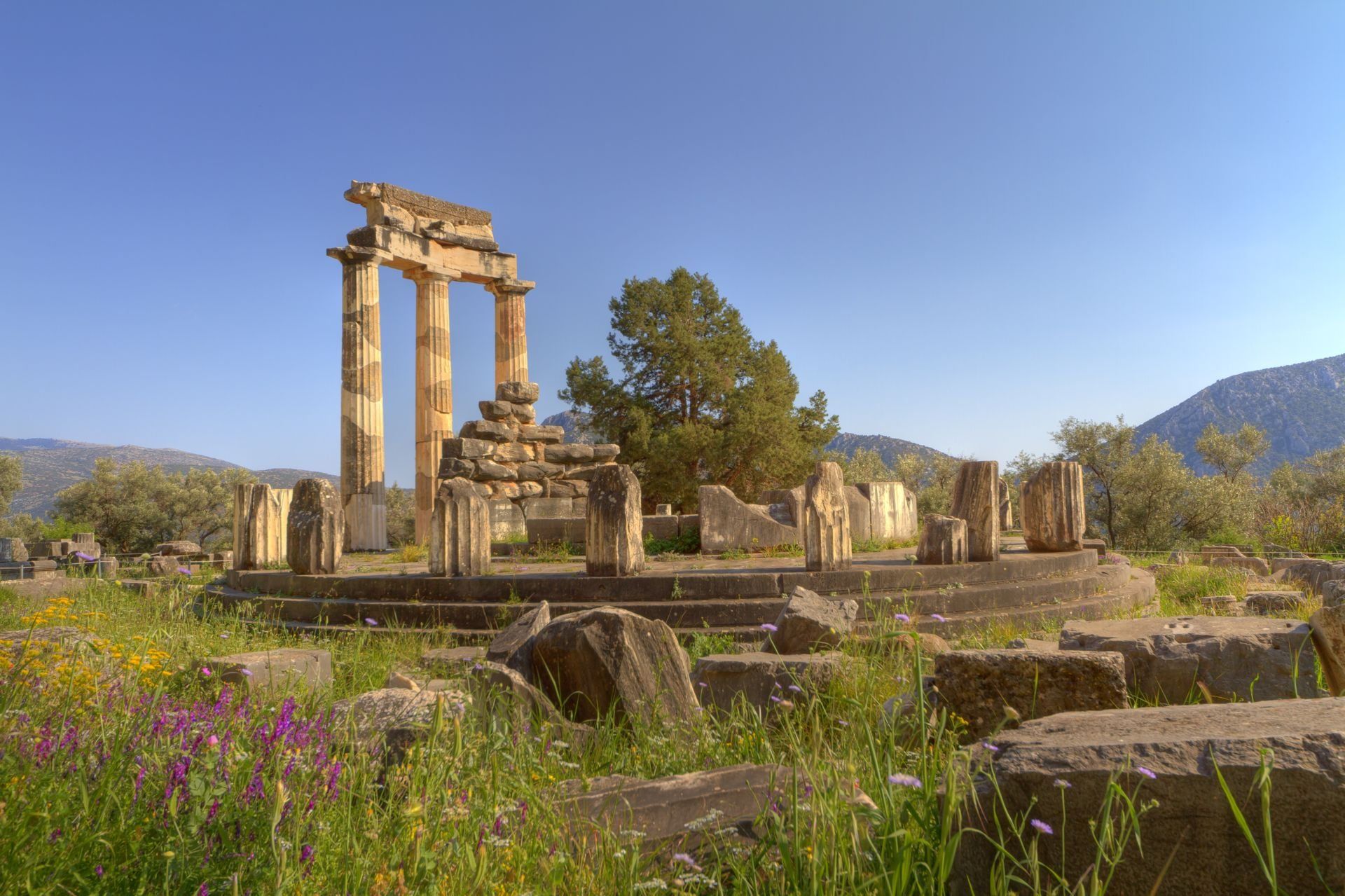 delphi